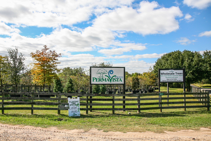 PermaVista-Trees-Entrance-r1