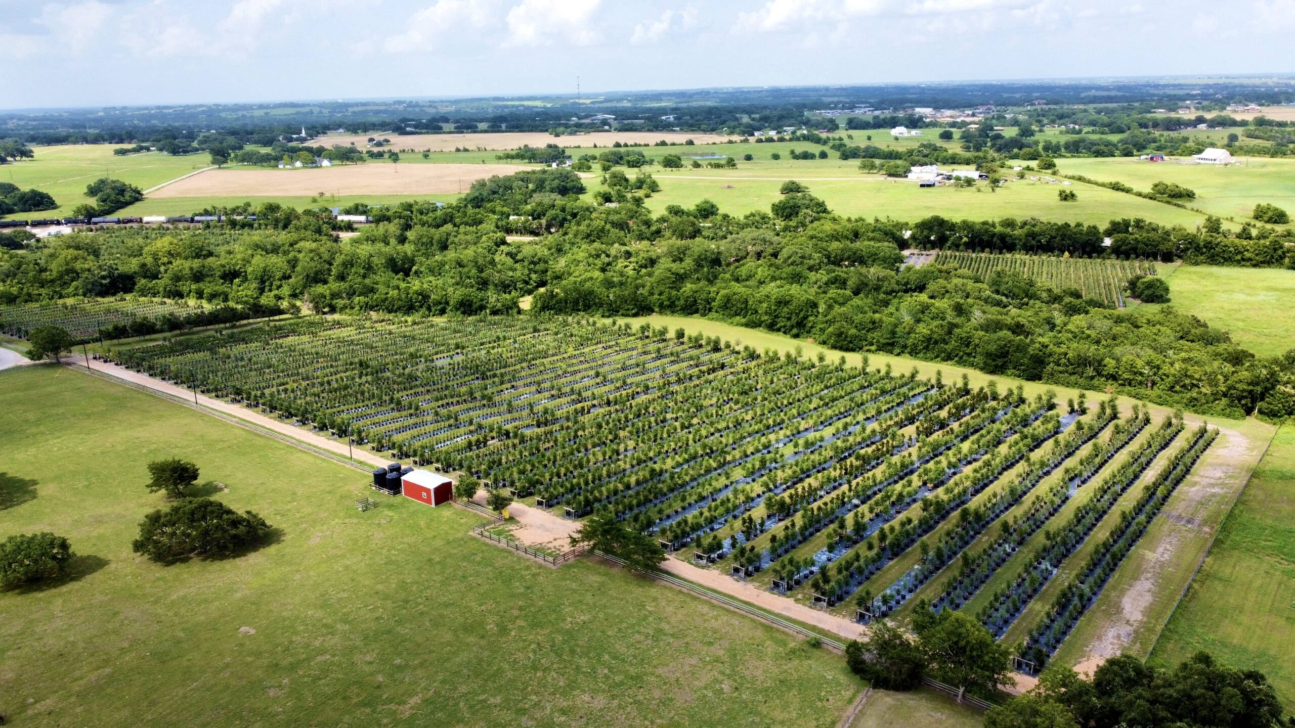 Added about 6000 more trees for your needs
